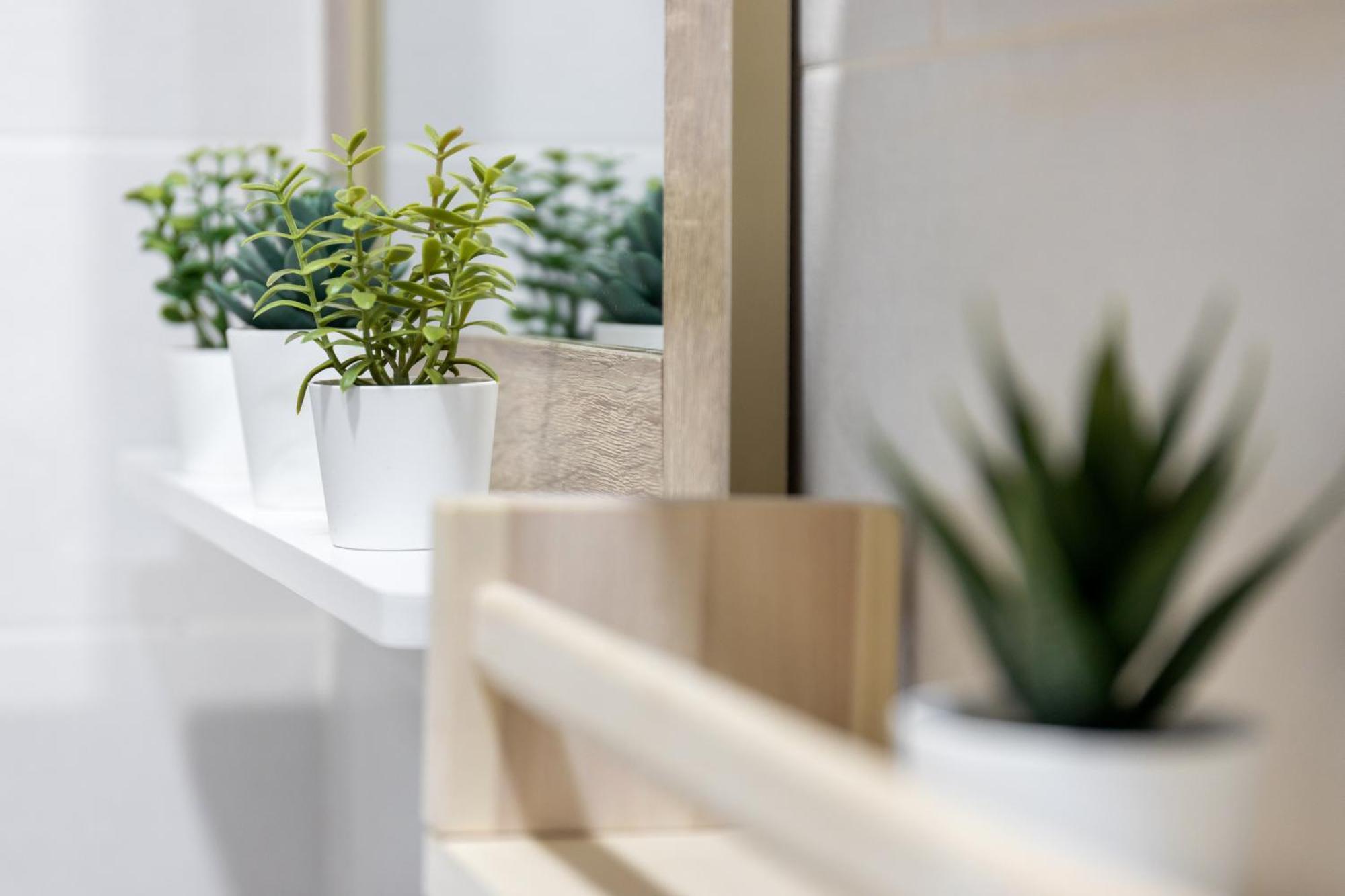 El Patio Del Arquitecto Διαμέρισμα Γρανάδα Εξωτερικό φωτογραφία